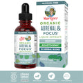 Maryruth'S Adrenal & Focus Herbal Blend for Adults - Adaptogenic - with Ginkgo Biloba & Astragalus - USDA Organic - Vegan - Non-Gmo - 30 Servings